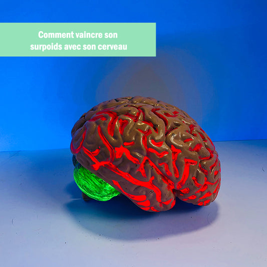 Comment vaincre son surpoids avec son cerveau